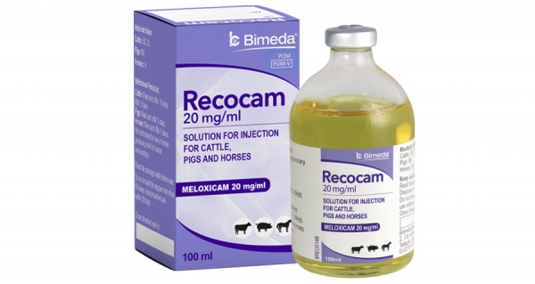 Recocam